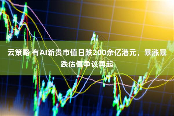 云策略 有AI新贵市值日跌200余亿港元，暴涨暴跌估值争议再起