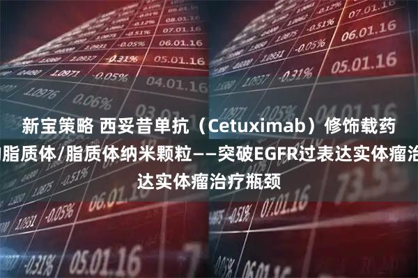新宝策略 西妥昔单抗（Cetuximab）修饰载药/核酸的脂质体/脂质体纳米颗粒——突破EGFR过表达实体瘤治疗瓶颈
