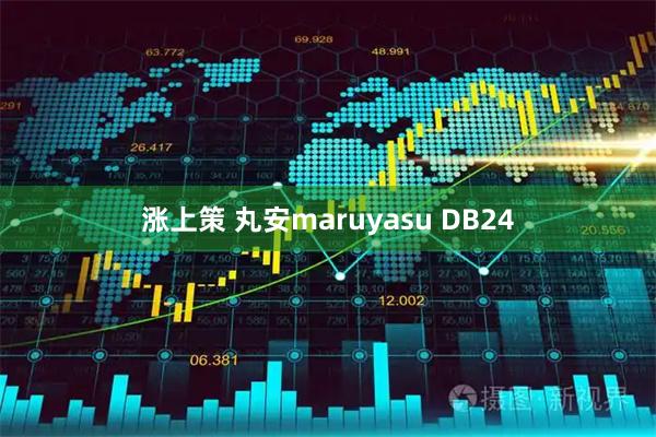 涨上策 丸安maruyasu DB24
