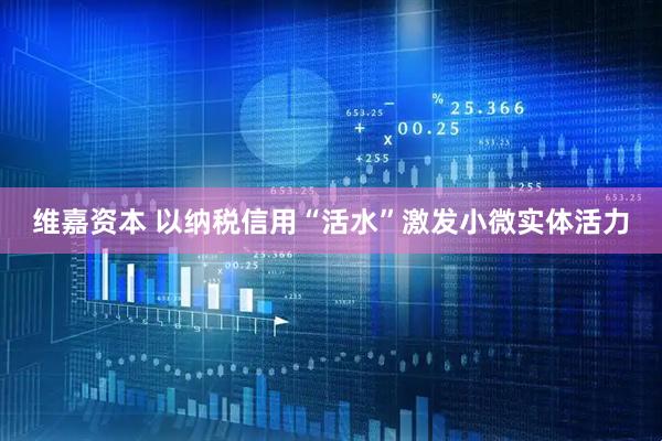 维嘉资本 以纳税信用“活水”激发小微实体活力