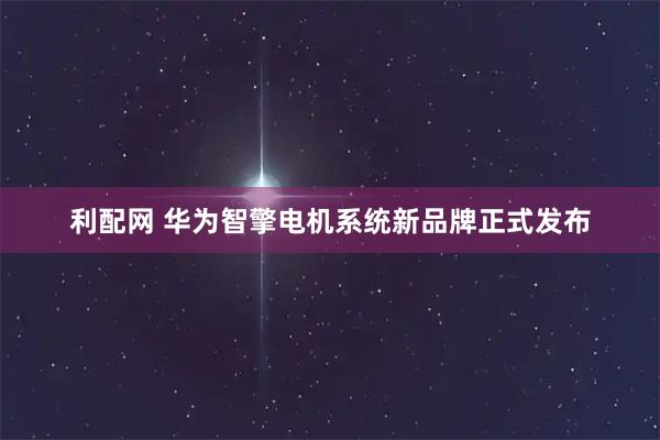 利配网 华为智擎电机系统新品牌正式发布