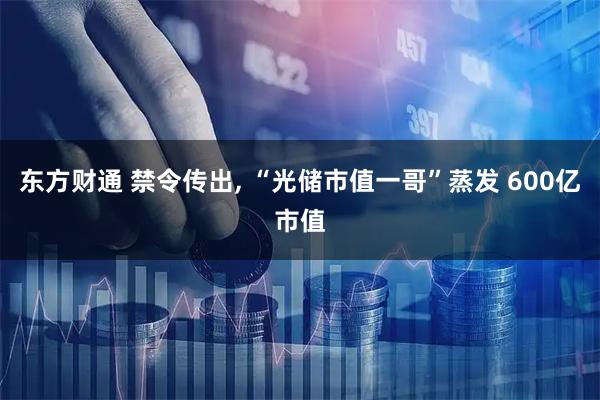 东方财通 禁令传出, “光储市值一哥”蒸发 600亿市值