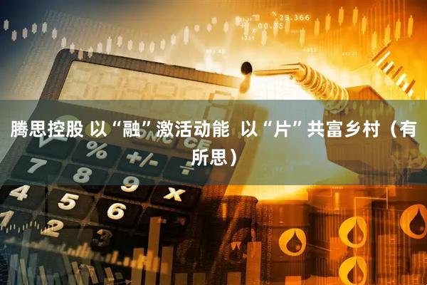 腾思控股 以“融”激活动能  以“片”共富乡村（有所思）