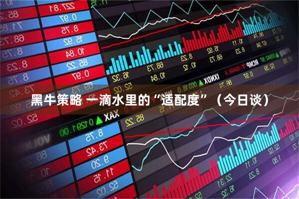 黑牛策略 一滴水里的“适配度”(今日谈)