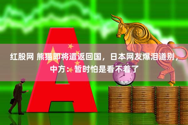 红股网 熊猫即将遣返回国，日本网友爆泪道别，中方：暂时怕是看不着了