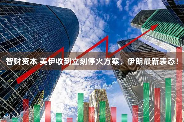 智财资本 美伊收到立刻停火方案，伊朗最新表态！
