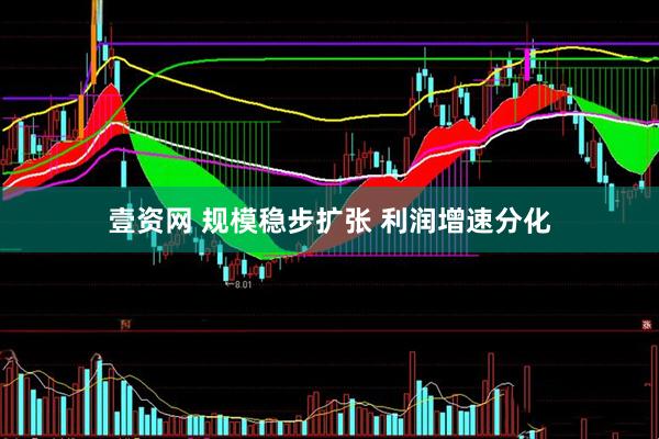 壹资网 规模稳步扩张 利润增速分化