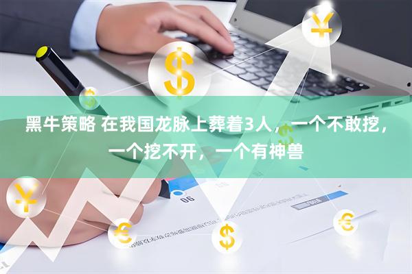 黑牛策略 在我国龙脉上葬着3人，一个不敢挖，一个挖不开，一个有神兽