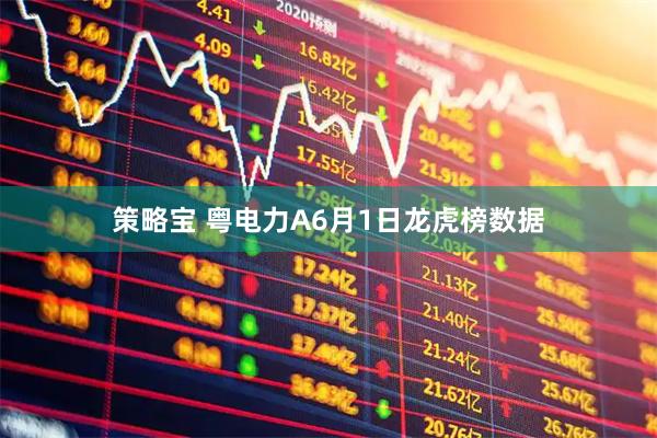 策略宝 粤电力A6月1日龙虎榜数据