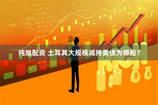 纯旭配资 土耳其大规模减持美债为哪般？