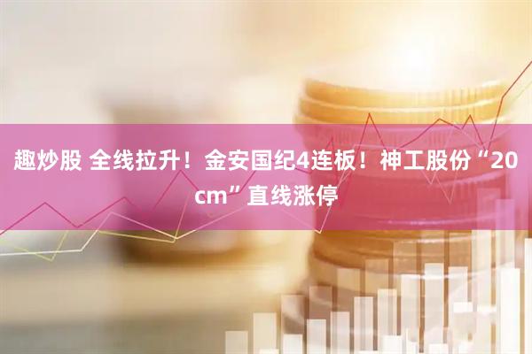 趣炒股 全线拉升！金安国纪4连板！神工股份“20cm”直线涨停